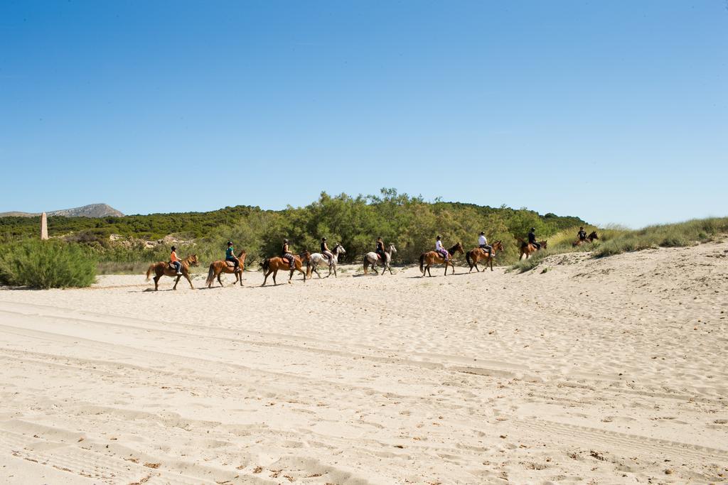 Agroturismo Can Pere Rei Son Serra de Marina Buitenkant foto